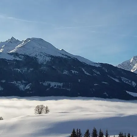 Apartamento Steger Mittersill