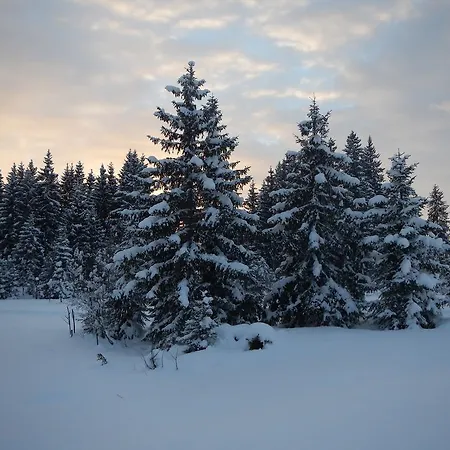 Steger Apartamento Mittersill