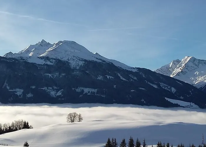 Apartamento Steger Mittersill