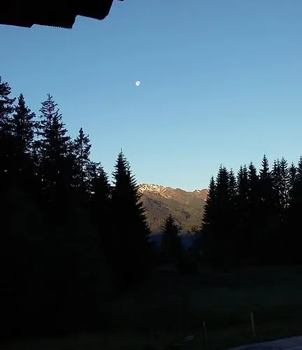 Appartement Steger *